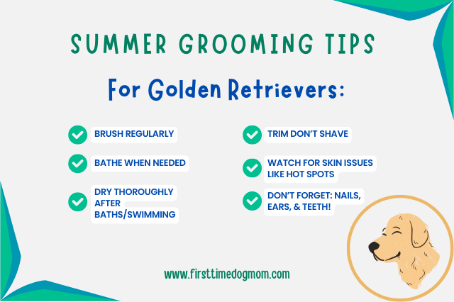 Summer Grooming Tips For Golden Retrievers Infographic.