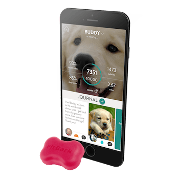 The FitBark 2 Dog Activity Monitor in pink with the FitBark App on an iPhone.