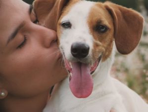 Lady Giving A Beagle Dog A Kiss, Dog Has Tongue hanging out.