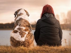 Dog and lady sitting beside each other outside with their backs to us.