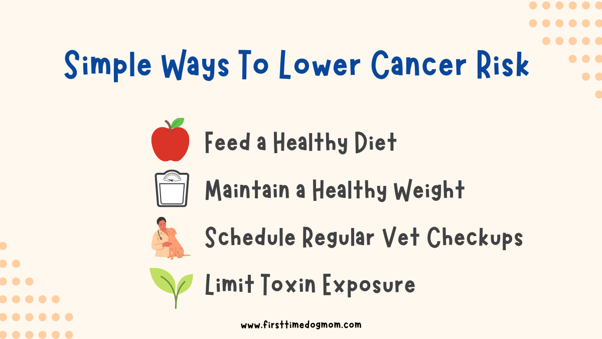 Graphic listing simple ways to reduce cancer risk in Golden Retrievers, such as healthy diet, maintaining a healthy weight, regular vet checkups, and limiting toxin exposure.
