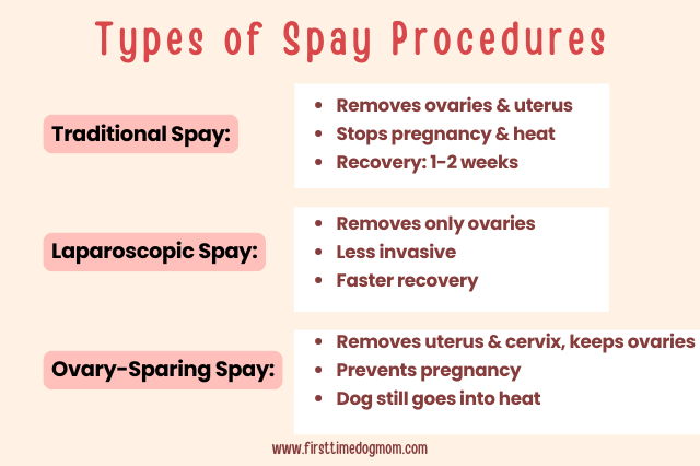 Graphic showing the types of spay procedures including traditional, laparoscopic, and ovary-sparing spay.