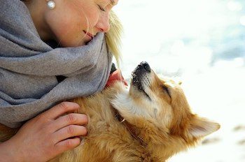 Blonde haired woman cuddling with her Corgi dog.