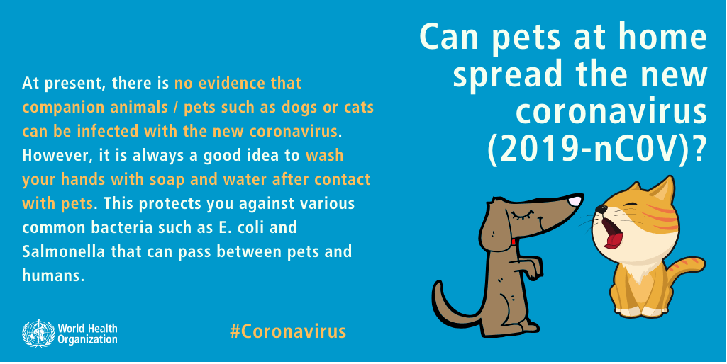 Can pets at home spread the new coronavirus (2019-nCOV)? Information graphic from the World Health Organization.