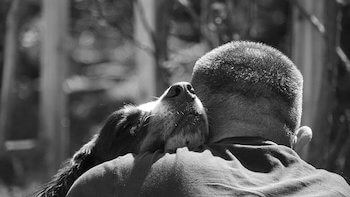 Dog and owner hugging, the dog's face is shown and the owner's back is to us.