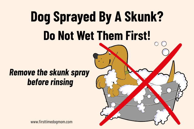 Dog in a bath with a red X, illustrating why you should not wet a dog before removing skunk spray.