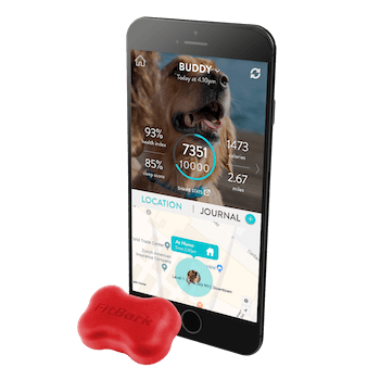 FitBark GPS shown in red with the FitBark App shown on an iPhone.