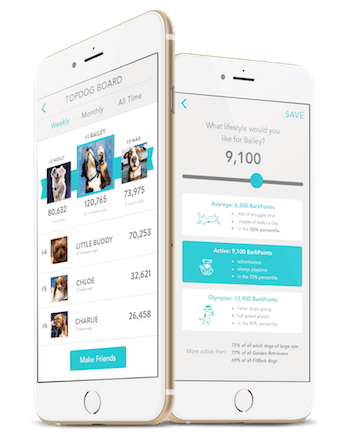 The FitBark 2 Dog Activity Monitor - FitBark Mobile App shown on an iPhone.