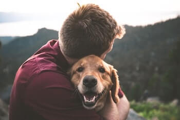 A man wearing a burgundy shirt hugging a Golden Retriever, who is looking happy.