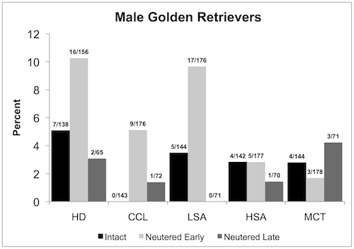 UC Davis Study Results Published in 2013, of the neutering effects on Male Golden Retrievers.