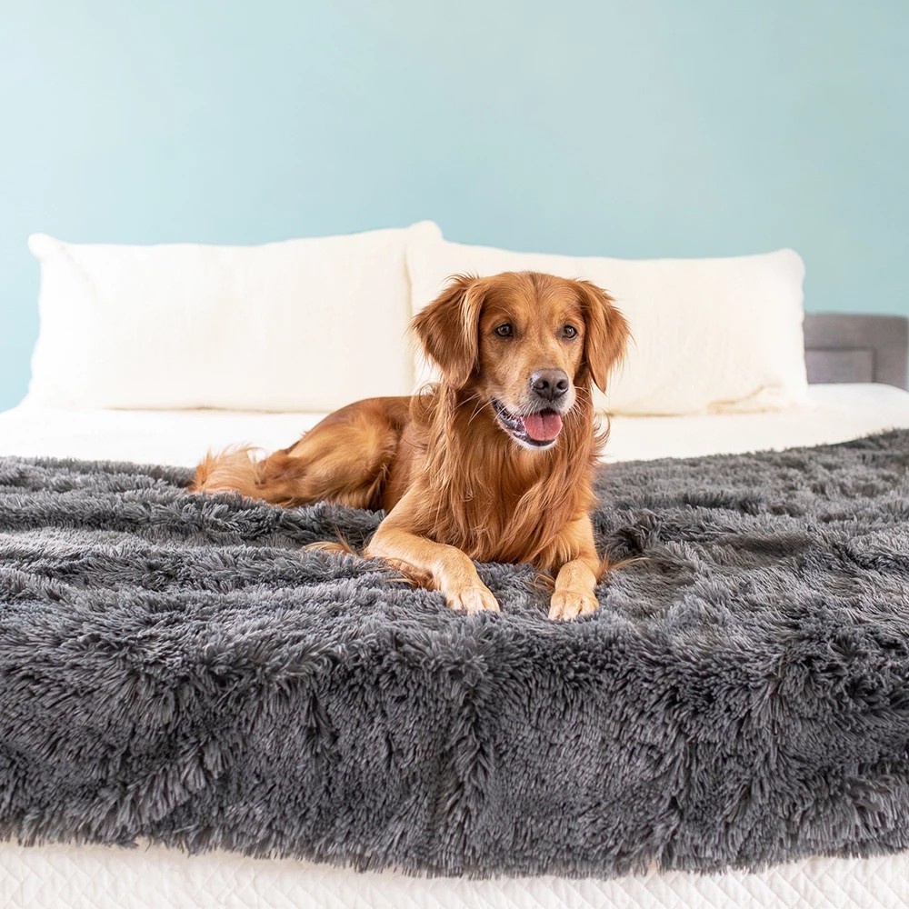 Waterproof Blankets For Dogs - A Golden Retriever laying on a grey AlphaPaw PawProof Waterproof Throw Blanket.
