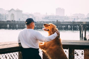 A man and a Golden Retriever standing on a lookout dock. The Golden Retriever jumped up with its paws on the ledge. The man has his arm around the dog.