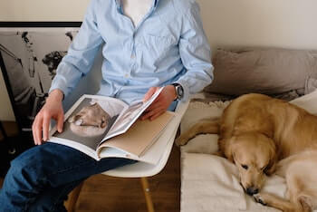 A man sitting in a chair reading a book. A Golden Retriever is laying beside him on a bed.
