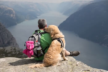 A man and a Golden Retriever sitting on top of a cliff overlooking a river below.